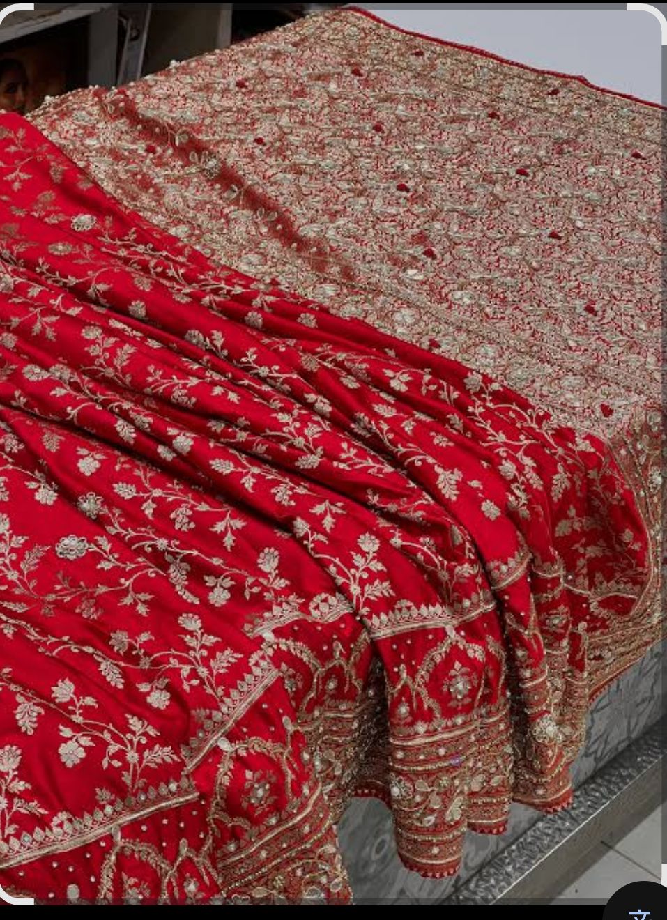 Banarasi Zari Jaal with Jardoji